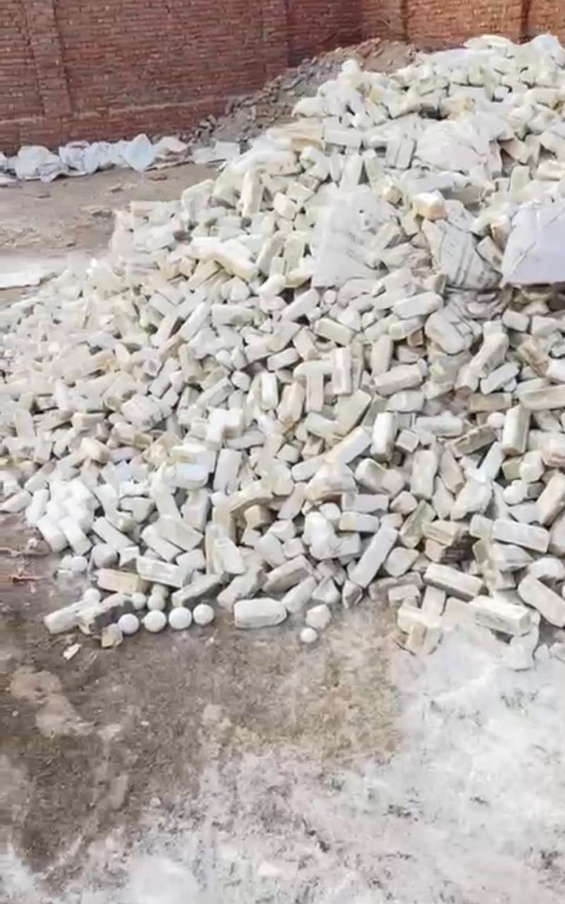 whatsapp image 2026 02 11 at 1.55.54 pm