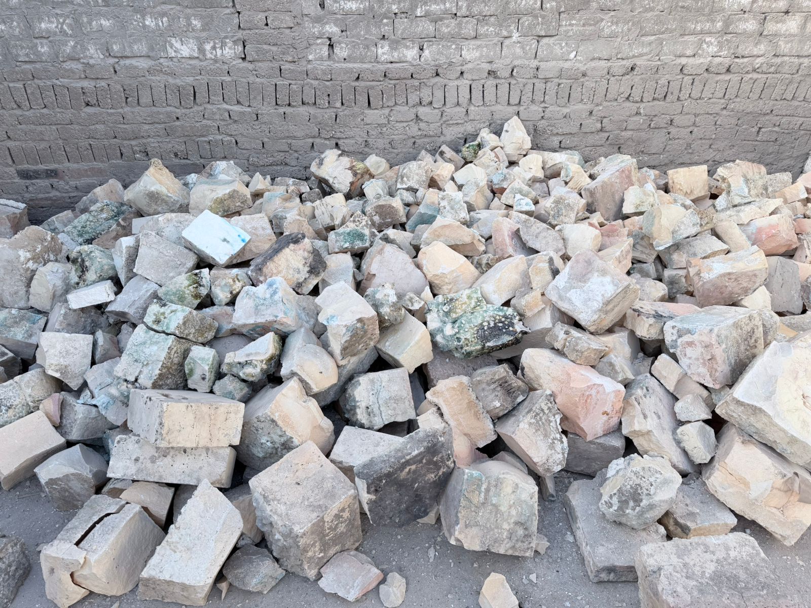 whatsapp image 2026 02 11 at 11.14.19 am