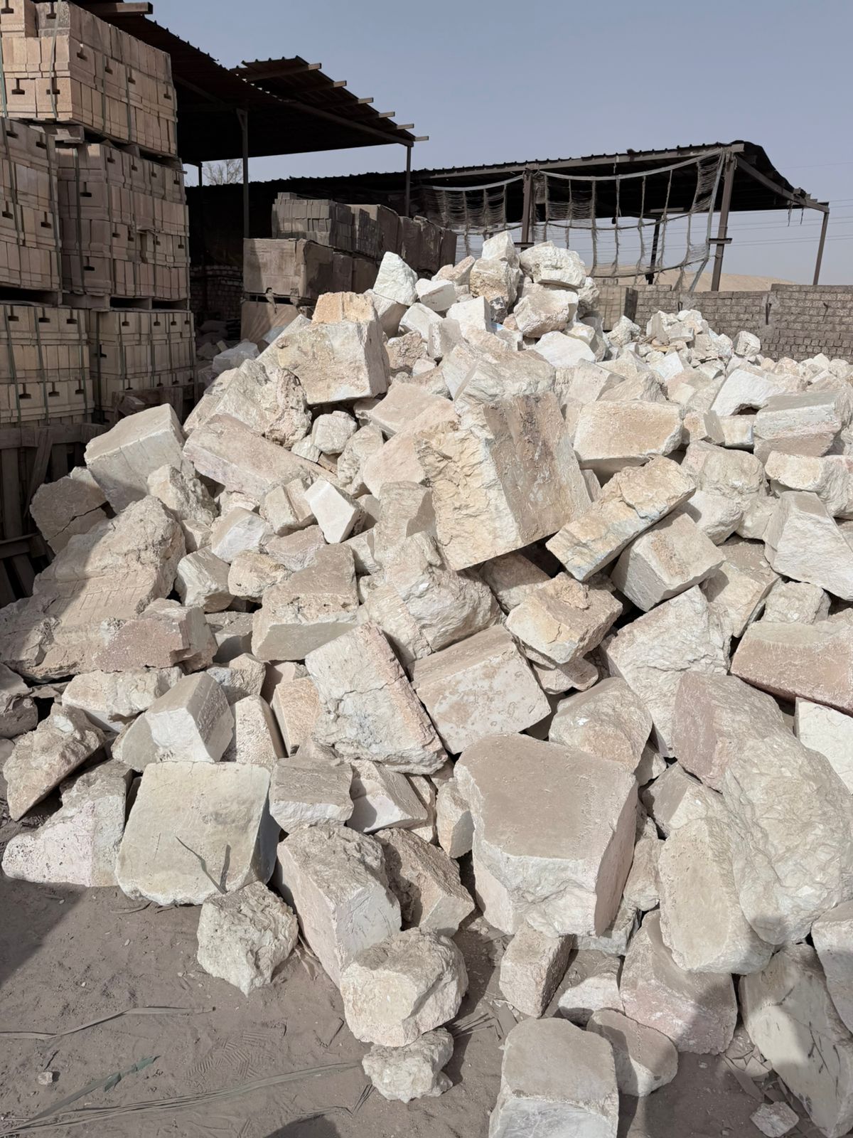 whatsapp image 2026 02 11 at 2.03.25 pm